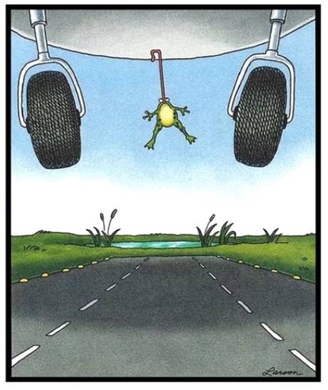 The Far Side Frog Plane