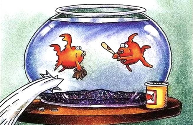 7 Greatest 'Far Side' Comics With No Words