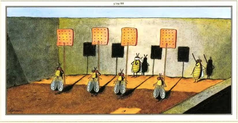 The Far Side flies fly