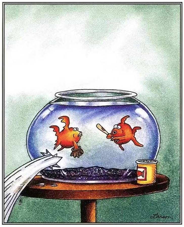 The Far Side Fish Baseball