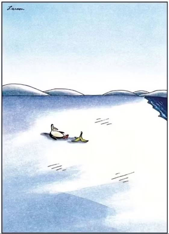 The Far Side Penguin Banana Peel