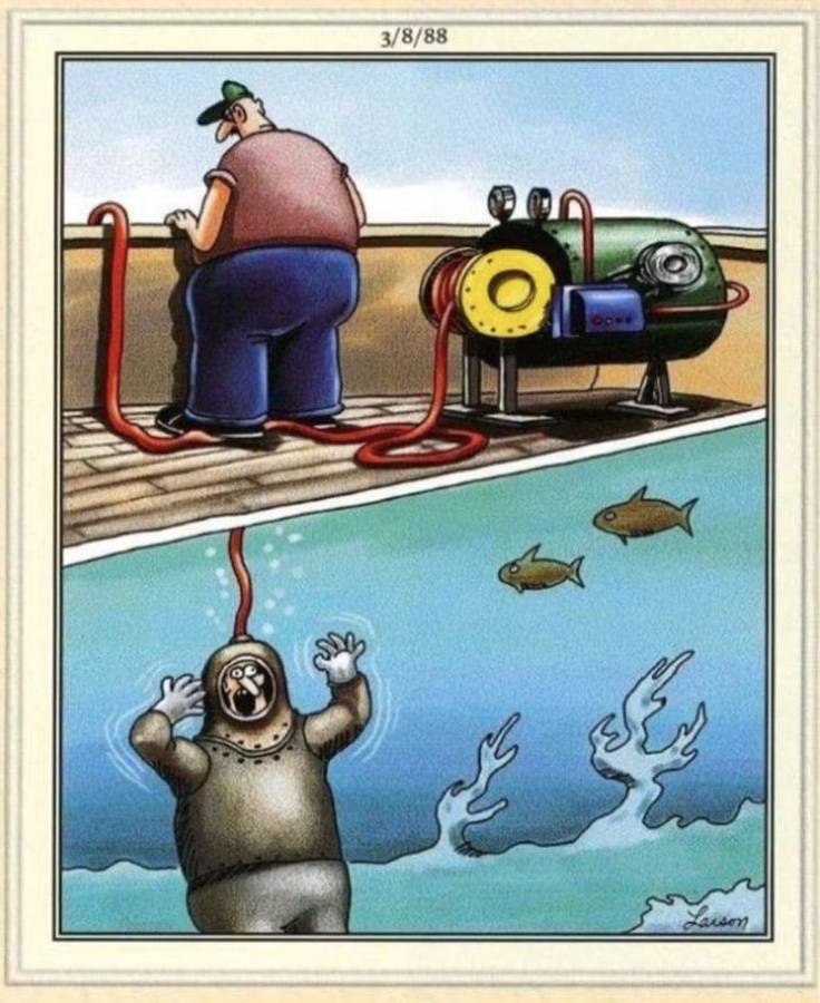 The Far Side Diver