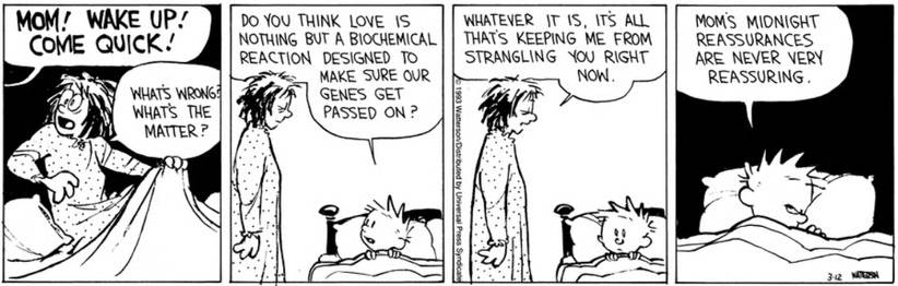 Calvin and Hobbes Mom love