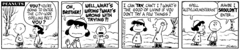 Charlie Brown peanuts best quote 