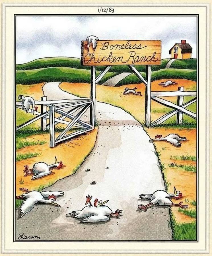 The Far Side Boneless chicken