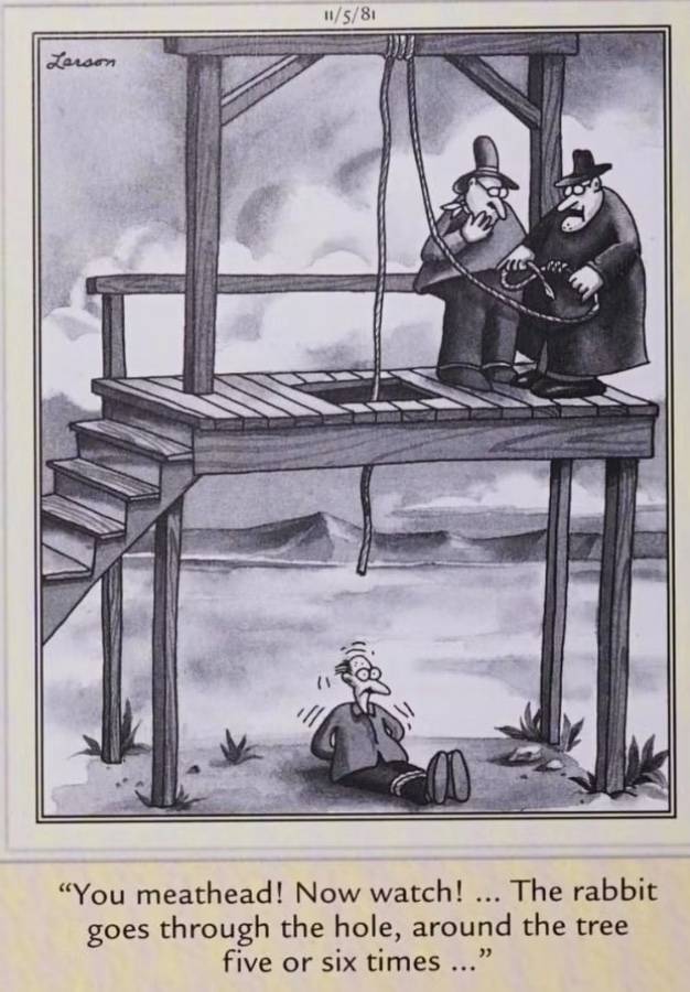 The Far Side Execution