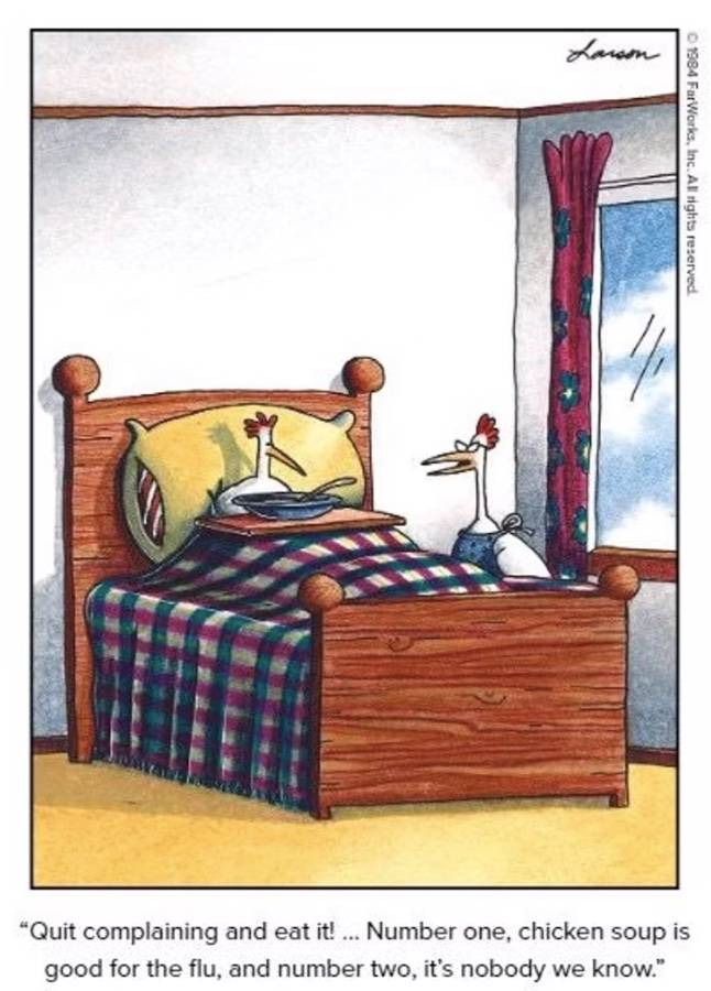 The Far Side Chicken Soup