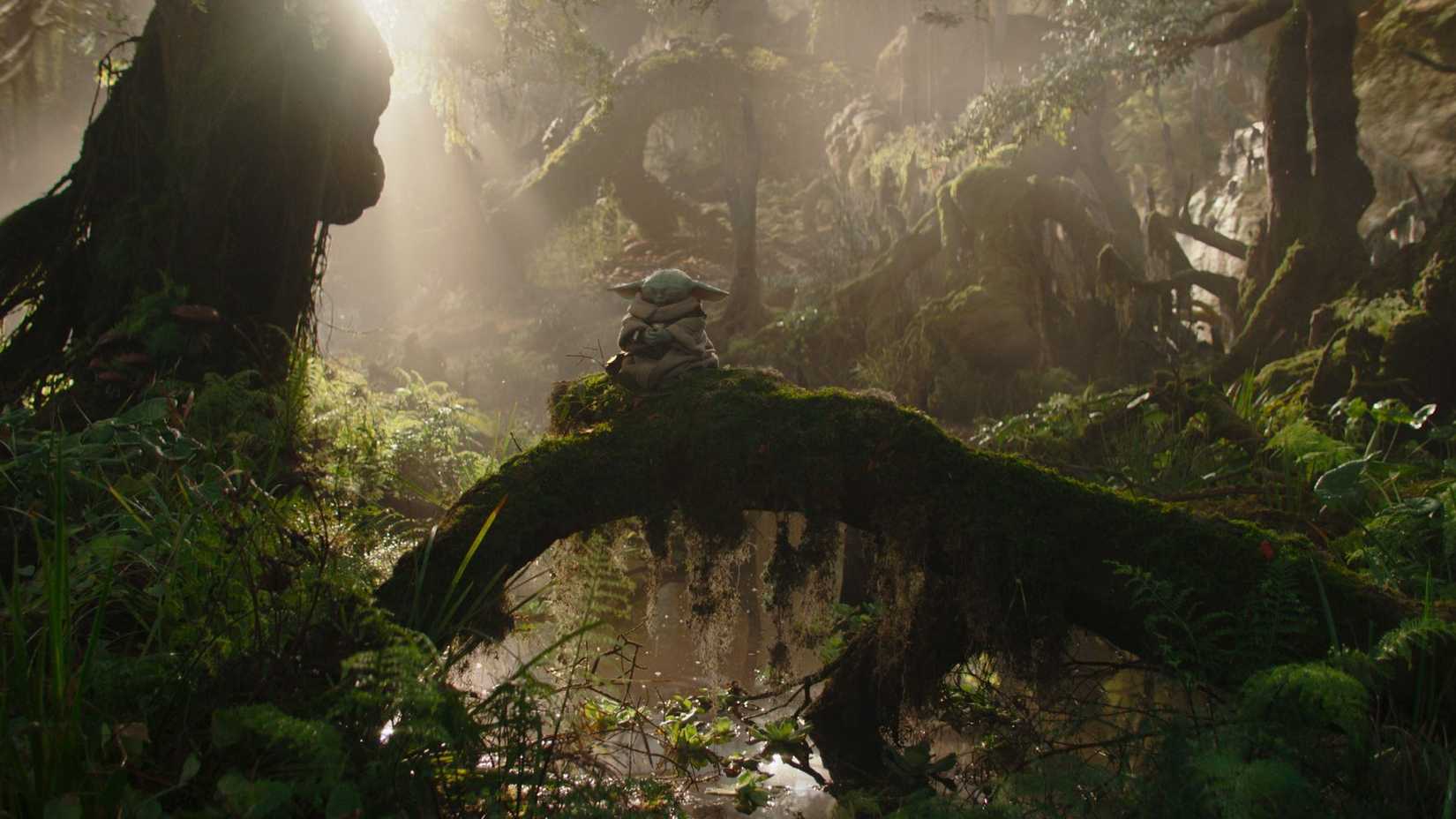 'The Mandalorian and Grogu' Director Confirms Grogu's Hut Built via Genetic Memory