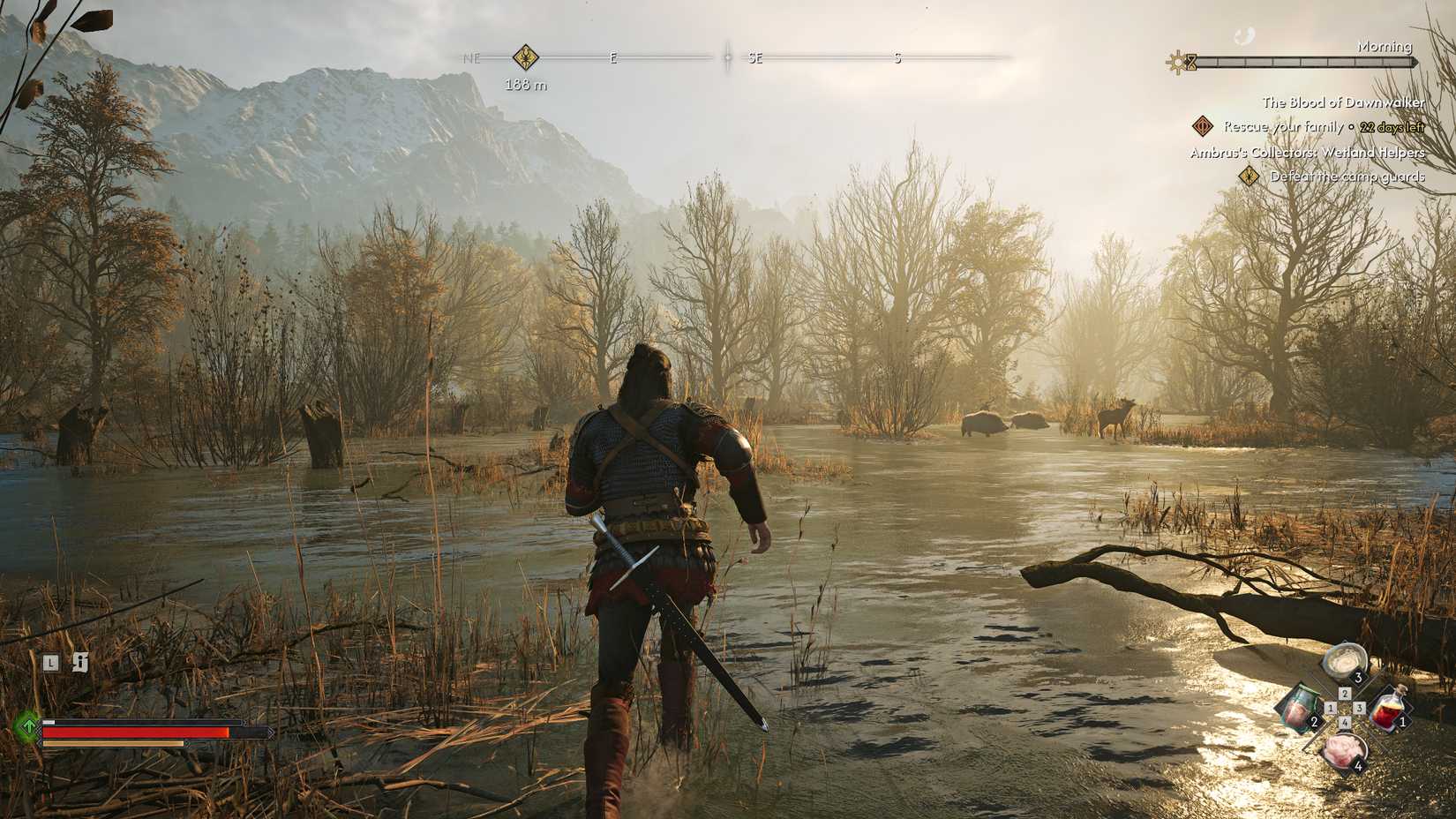 Coen runs though a swamp in The Blood of Dawnwalker.