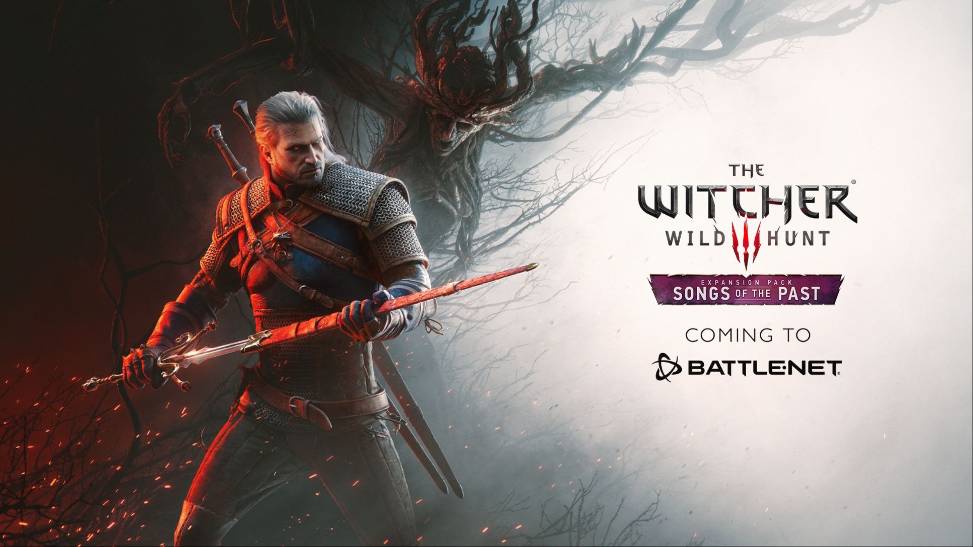 the witcher wild hunt poster