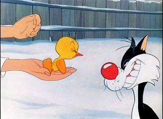 Tweety Bird Sylvester Looney Tunes