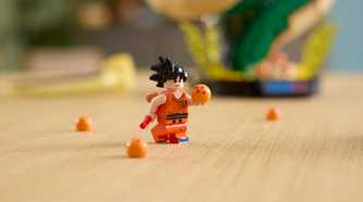 11390_Lifestyle_Build_03