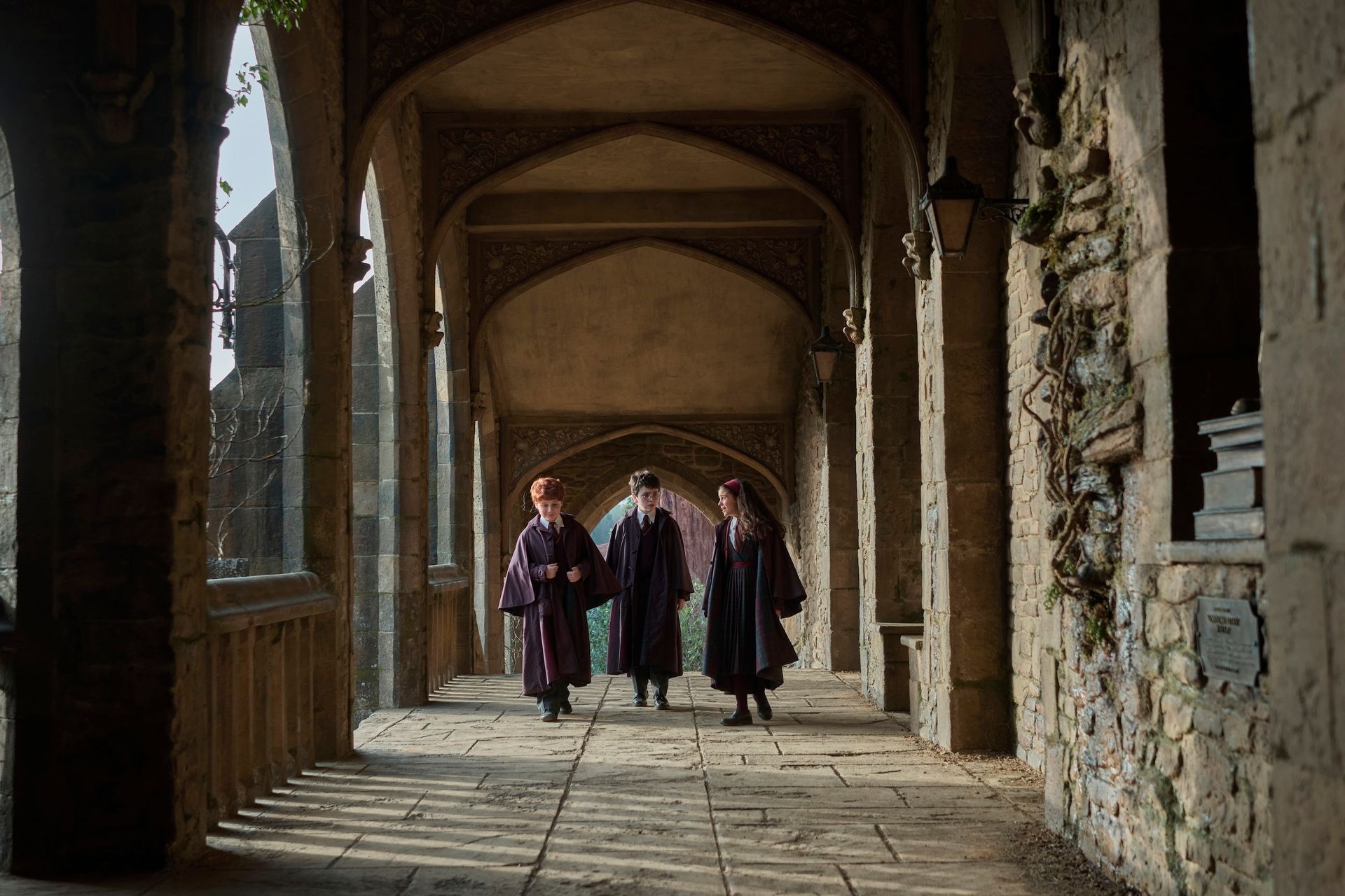 HBO's Harry Potter Reveals New Dobby and Young Voldemort Replacements