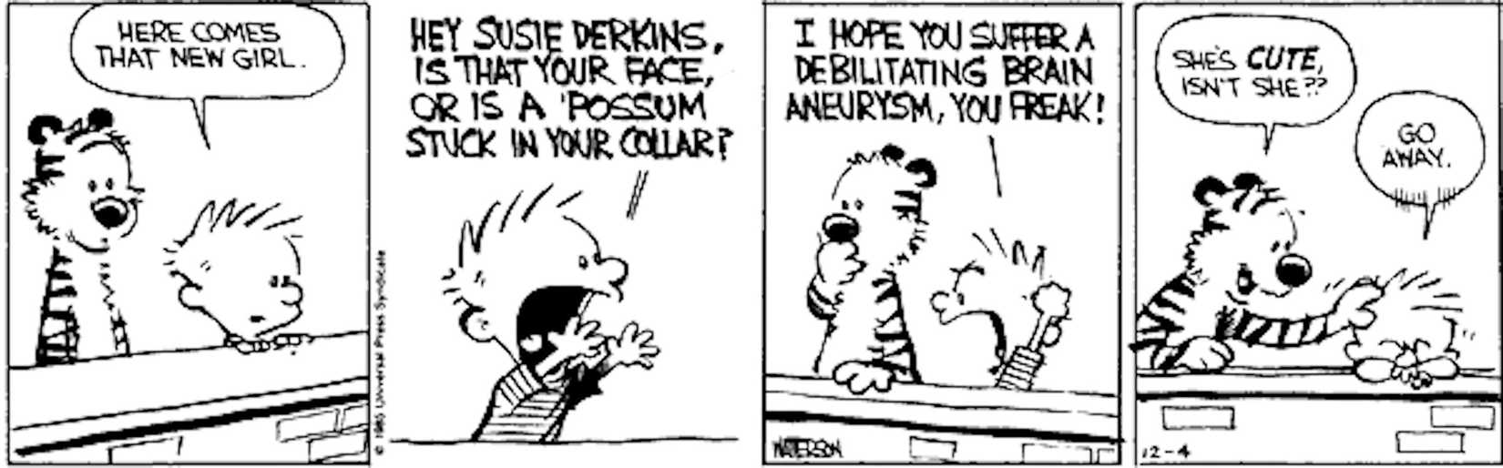 Calvin-and-Hobbes-Dec-4-1985