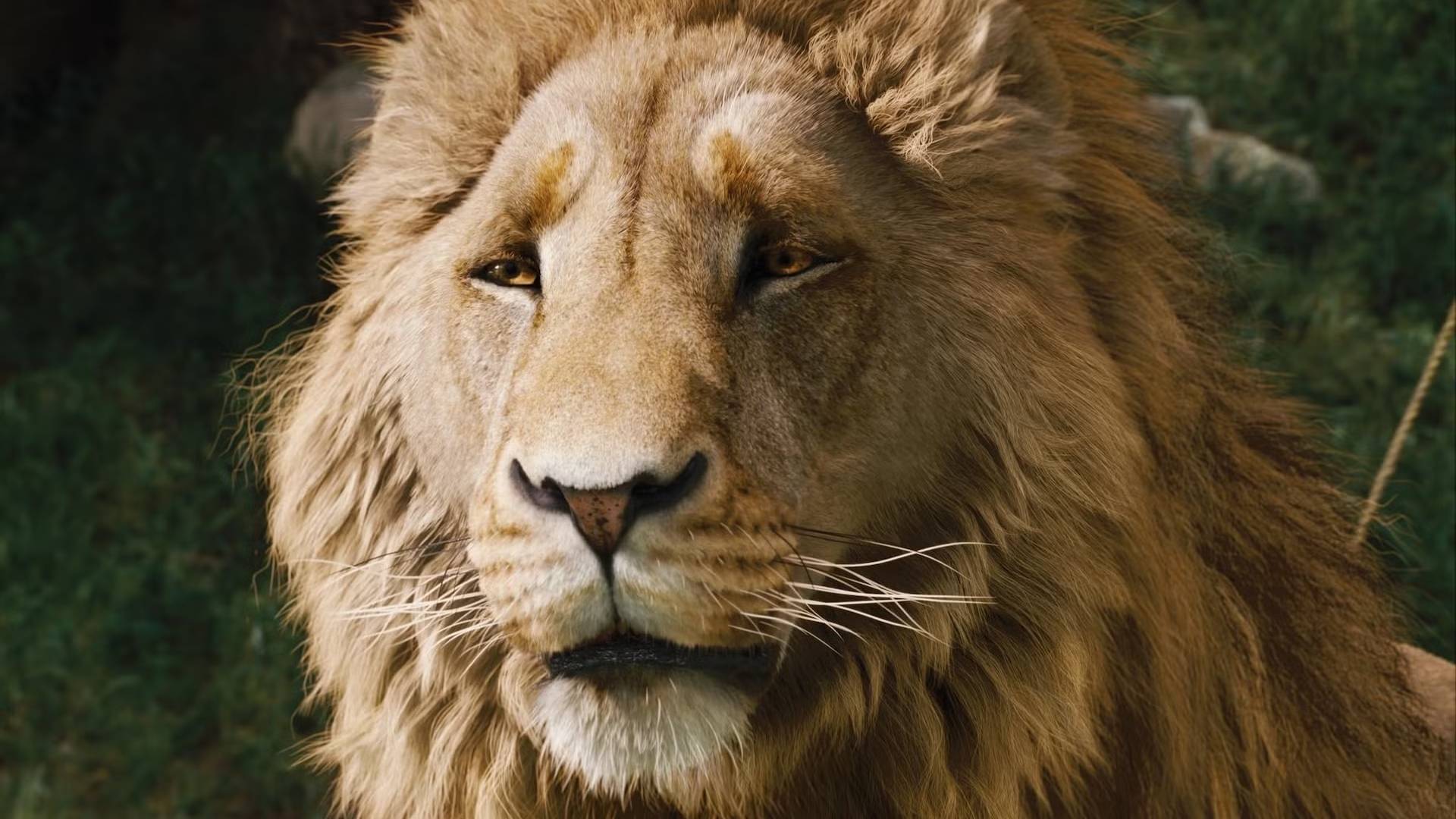 Netflix’s Chronicles of Narnia Reboot Reveals Official First Look