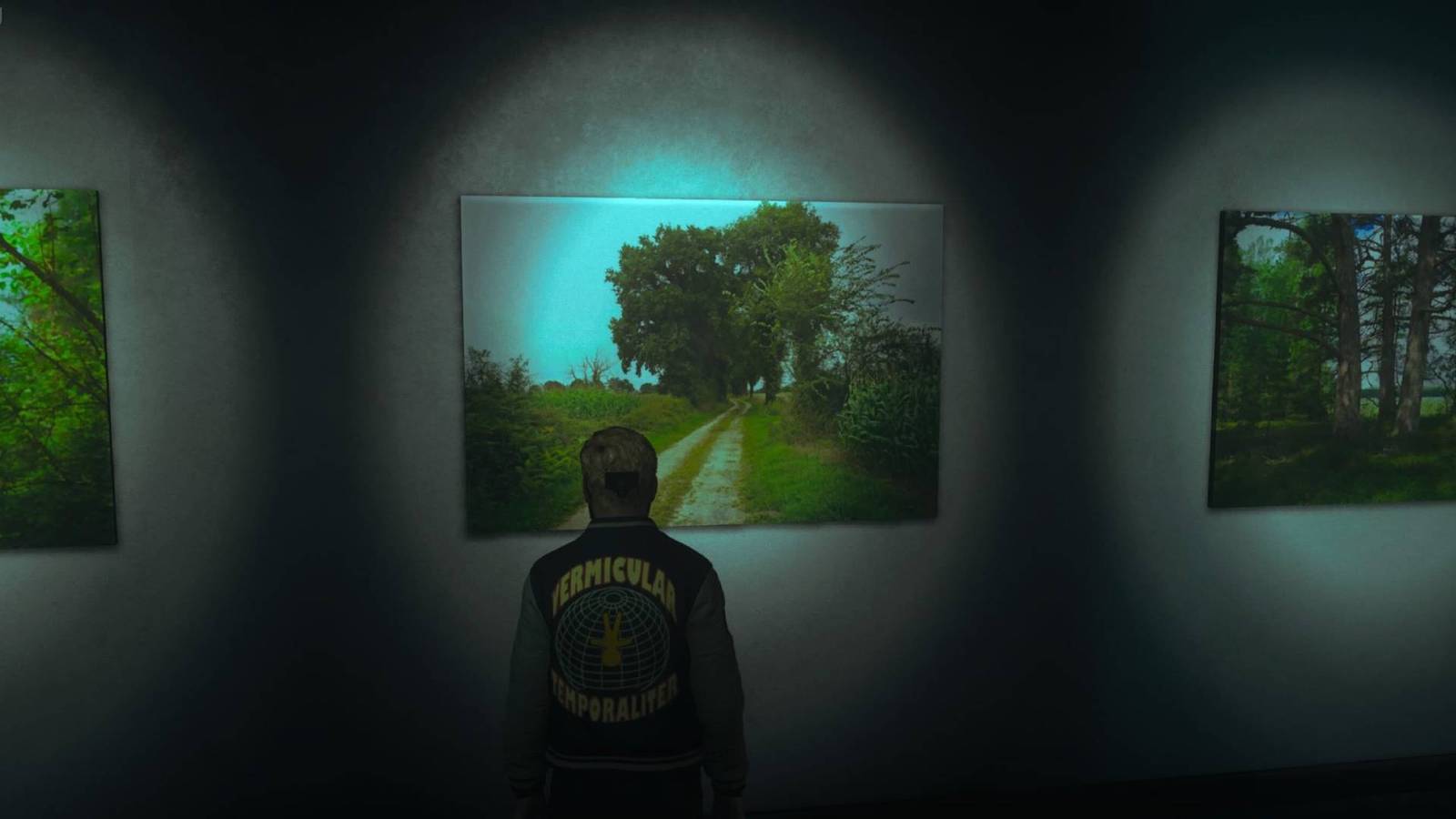 Dylan looking at one of the artworks for the Echo art gallery secret in Control Resonant.
