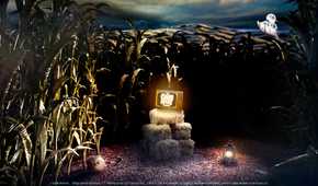 corn maze superdrop 3