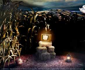 corn maze superdrop 3