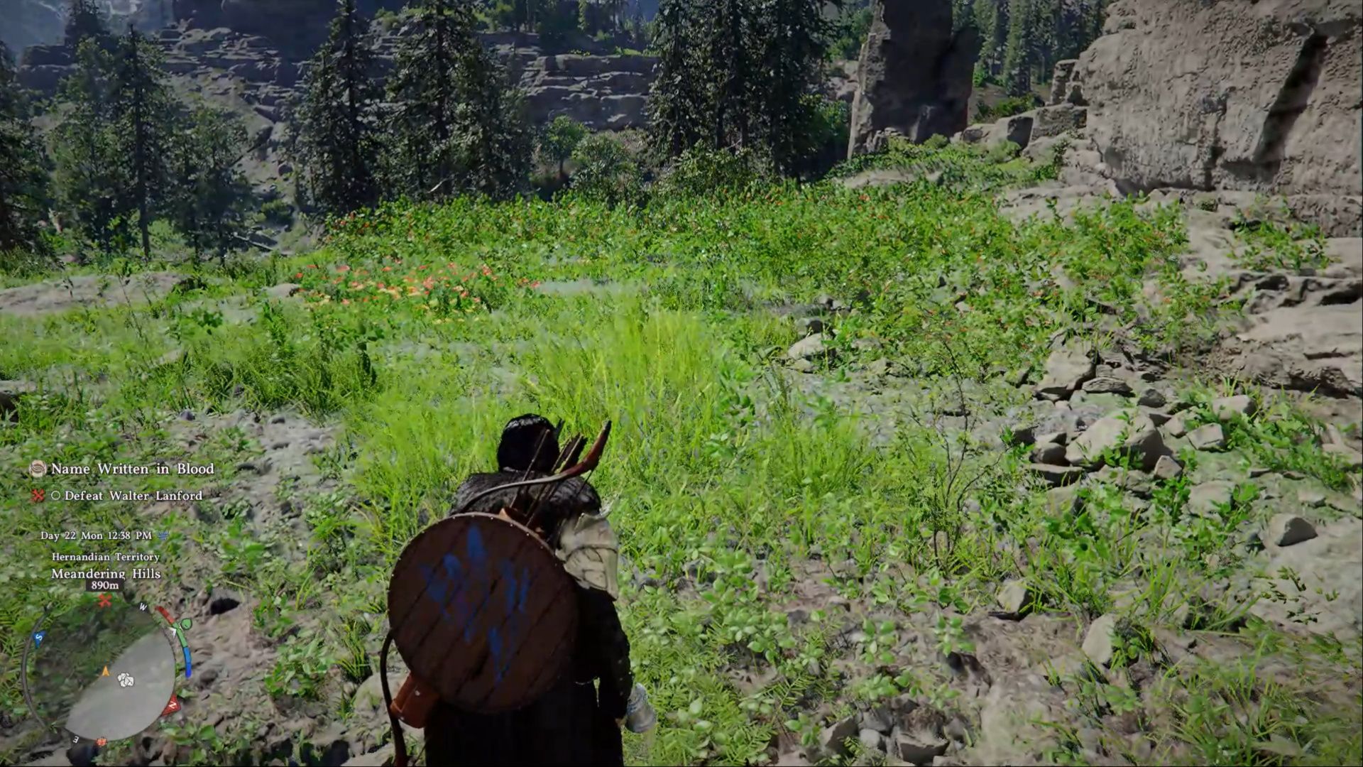 crimson desert character staring at grass