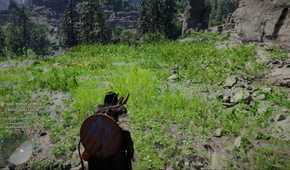 crimson desert character staring at grass
