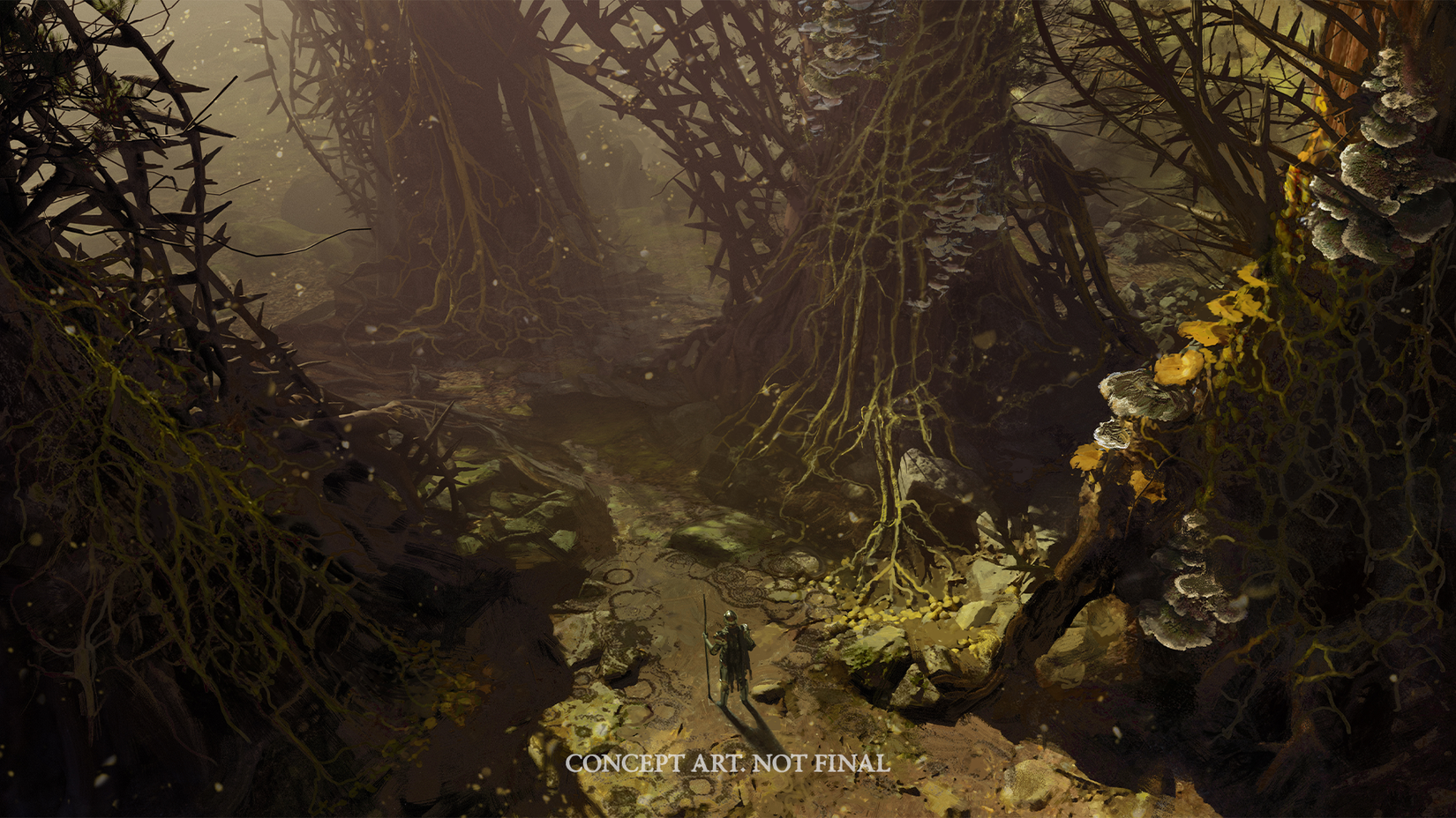 An adventurer stands in a thorny wood