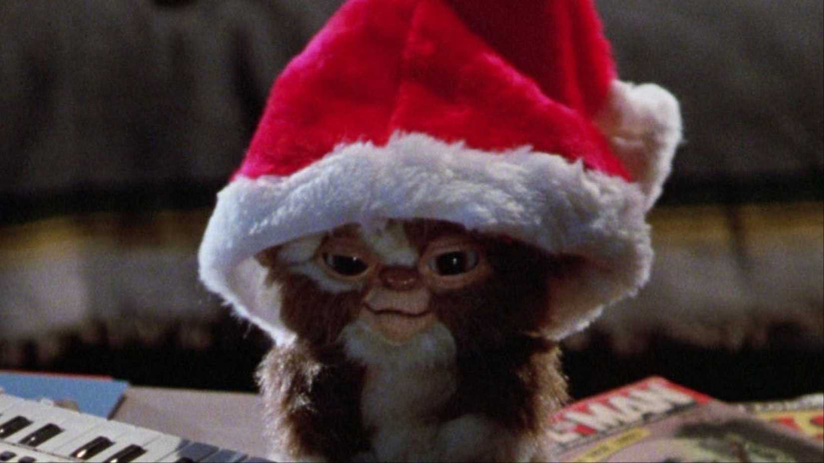 gizmo wearing santa hat