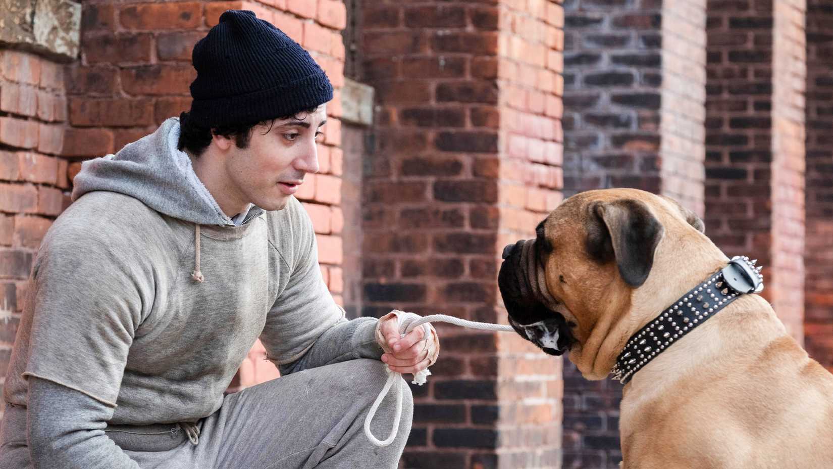 фильм I Play Rocky — иллюстрация 4 к материалу