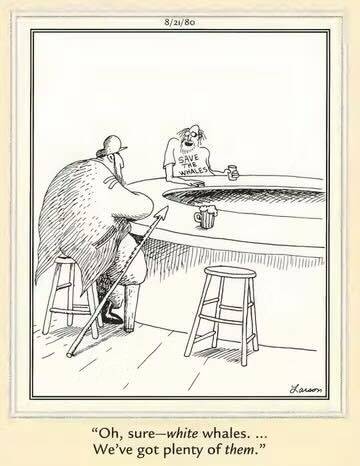 Far side moby dick ahab