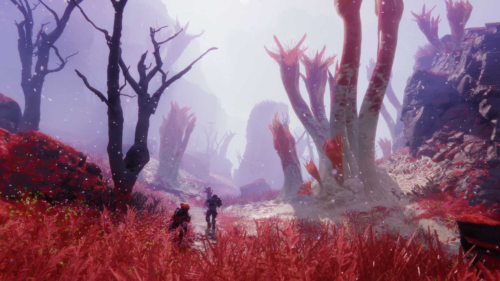 JB_MAR_Symbiosis_Extraction_36-1