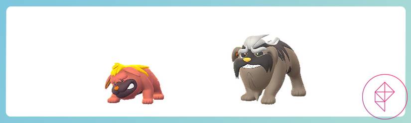 Maschiff and Mabostiff as seen in Pokémon Go