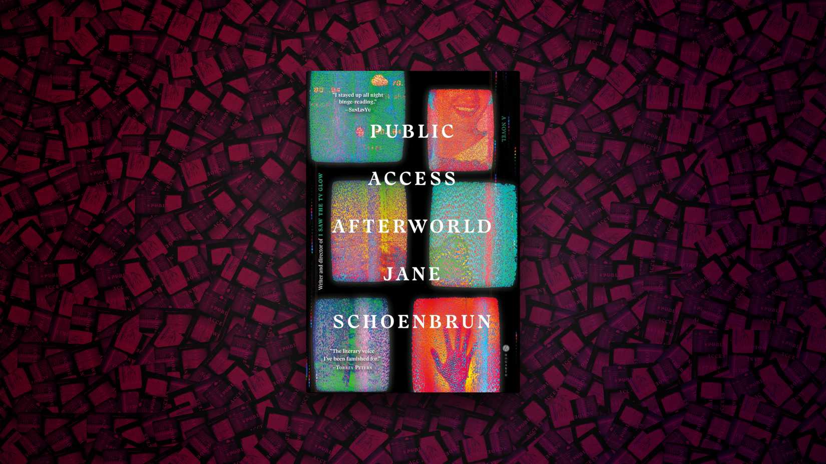Public Access Afterworld by Jane Schoenbrun