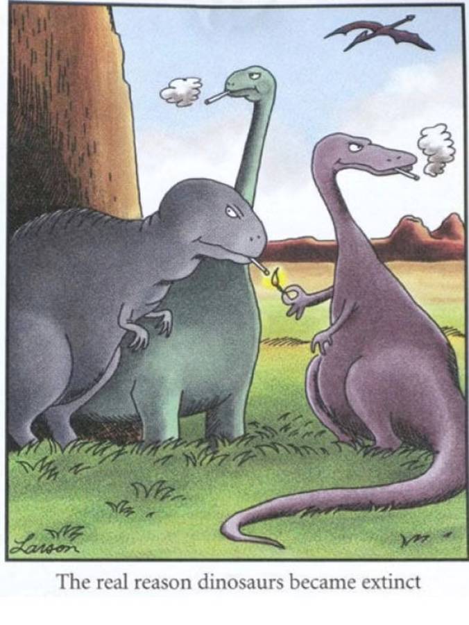 The Far Side Dinosaurs Smoking