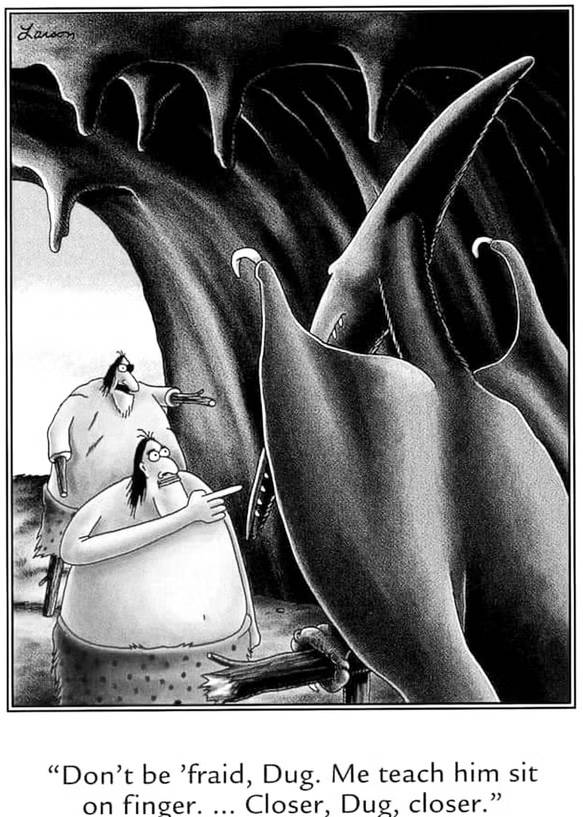 The Far Side Dinosaur pterosaur