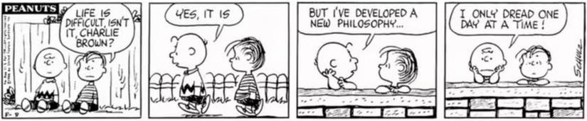 Peanuts Charlie Brown Linus life