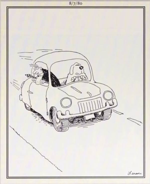 The Far Side dog car