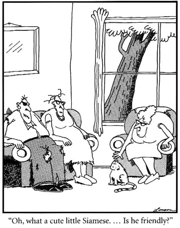 Gary Larson cat