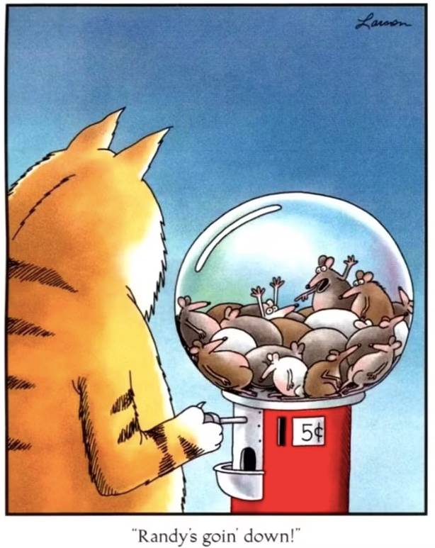 the far side cat