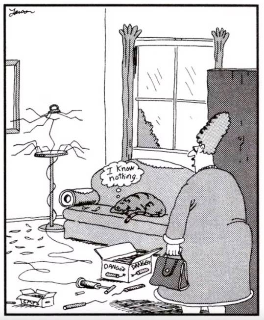 the far side cat