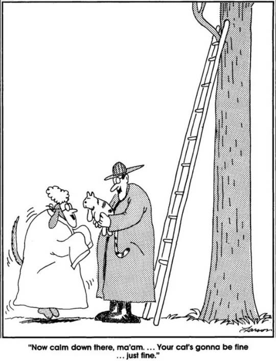 the far side cat