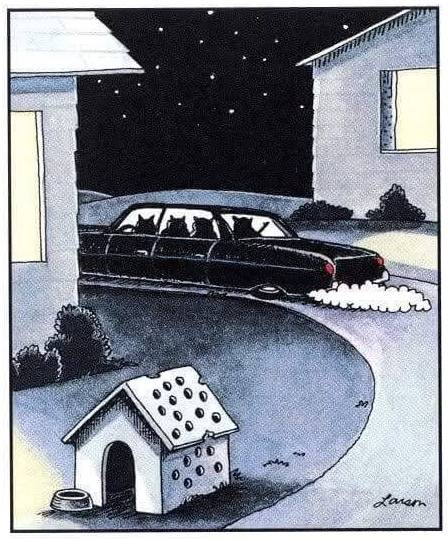 the far side cat