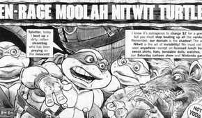 TMNT Mad Magazine Top