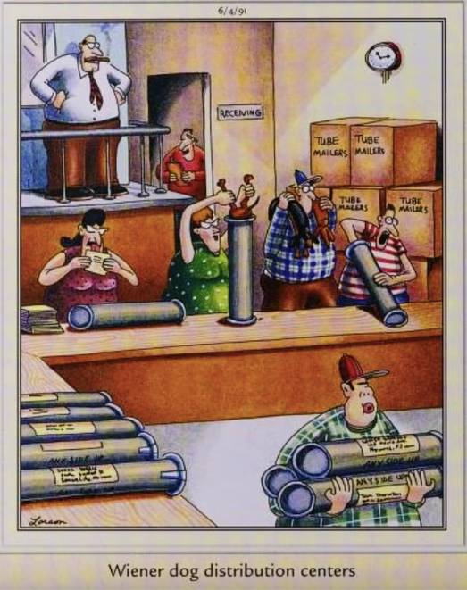 The Far Side Dog
