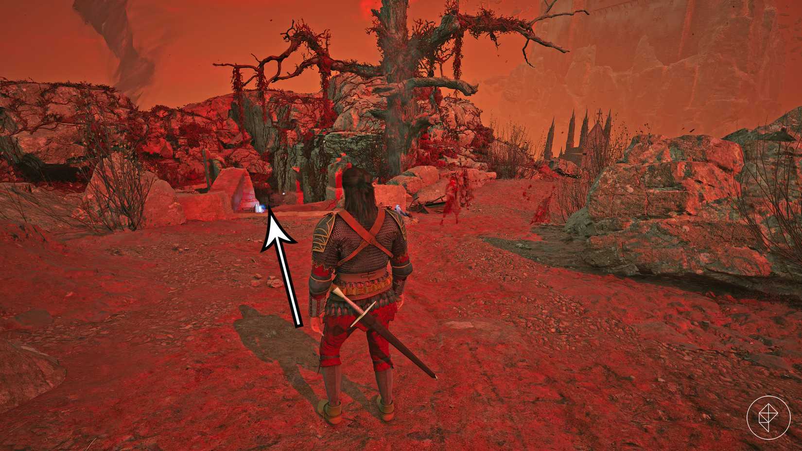 Coen decides whether to go left or right during the "Our Rotten Roots" quest in The Blood of Dawnwalker.