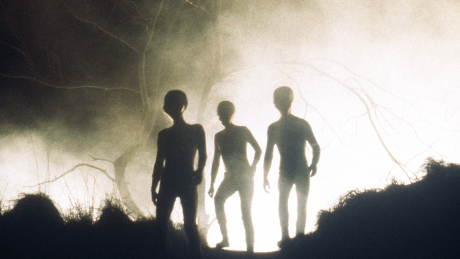 33 Years Later, the Best Sci-Fi Show of the '90s Is Officially Streaming for Free 33 Years Later, the Best Sci-Fi Show of the '90s Is Officially Streaming for Free