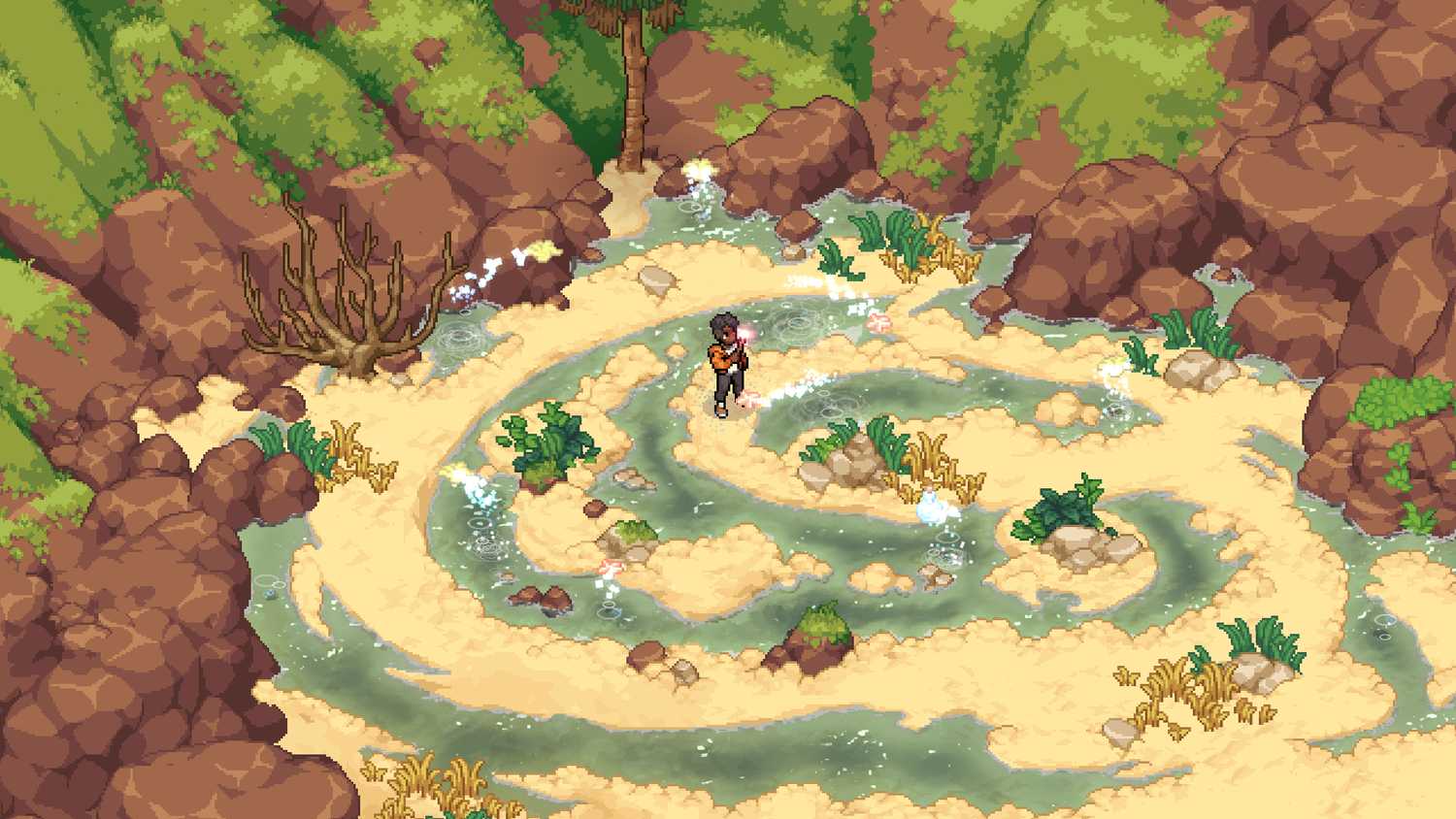 7 Rockpool Magic