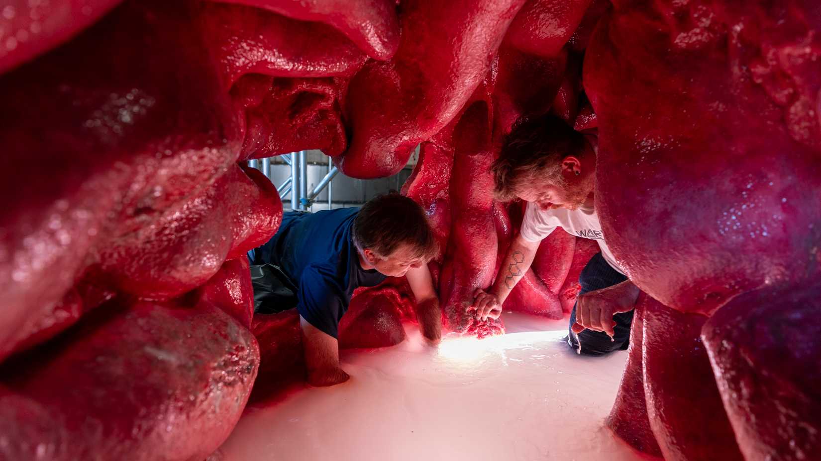 Inside the Whalefall stomach set
