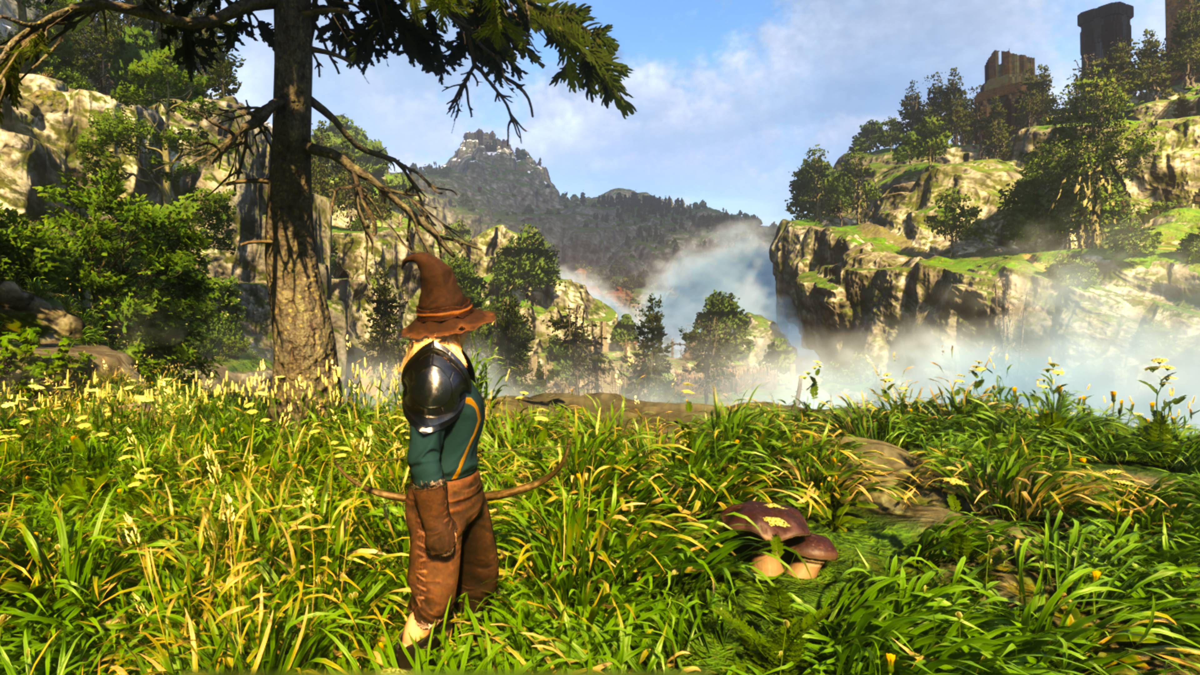 Where to find penny buns in Enshrouded