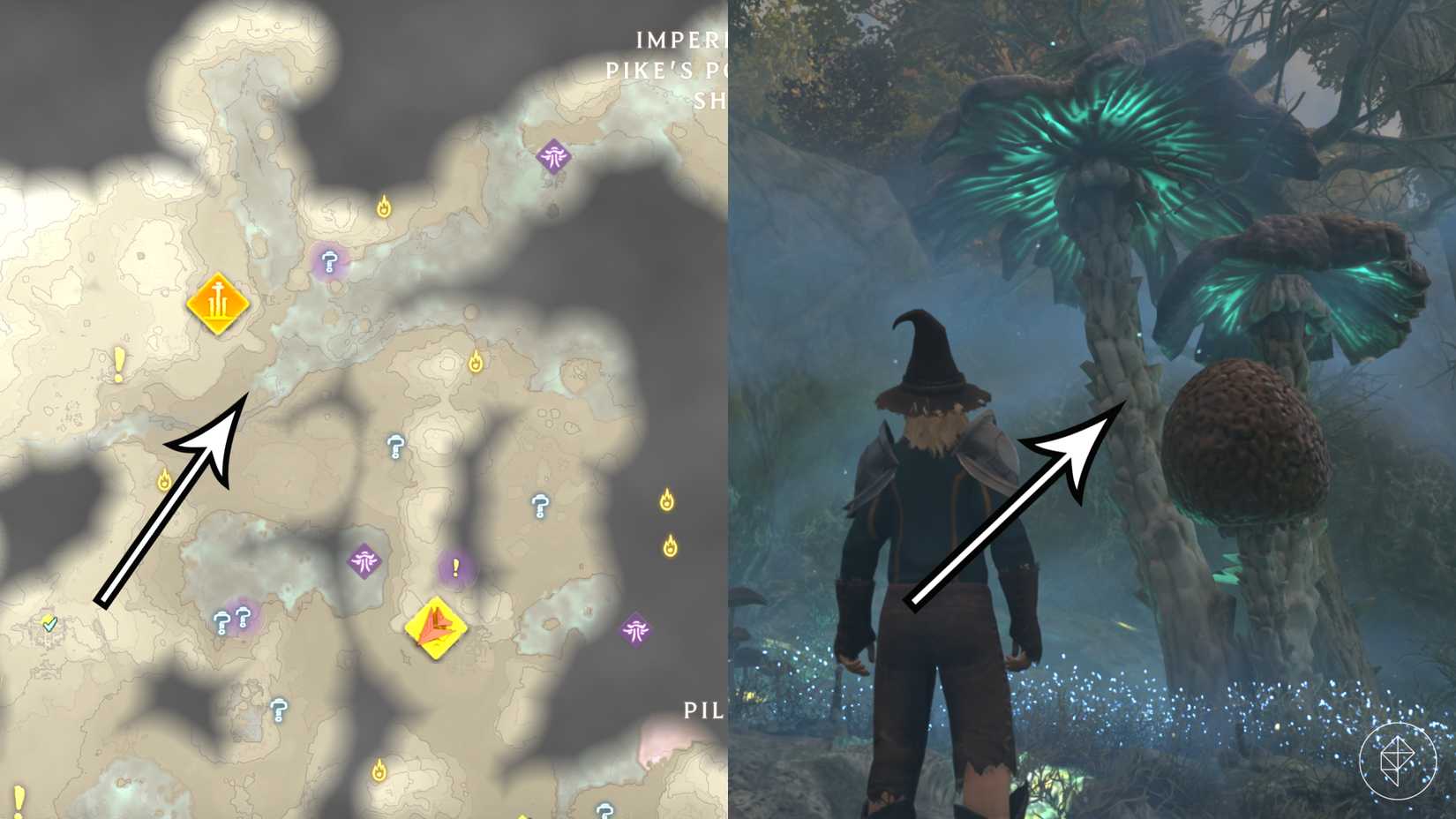 Arrows mark an ideal shroud mushroom farming spot in Enshrouded.