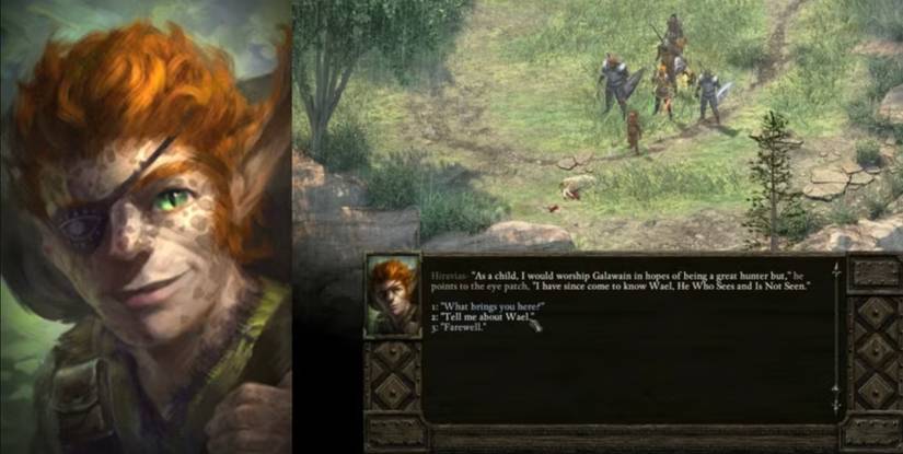 hiravias-pillars-of-eternity
