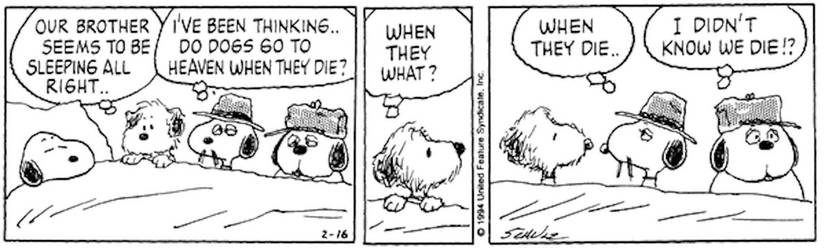 Peanuts-February-16-1994